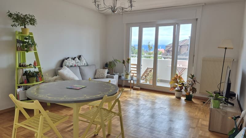 3 pièces Lumineux - Sous-gare - Avec Balcon Sud, Vue montagnes et Garage privé (1)