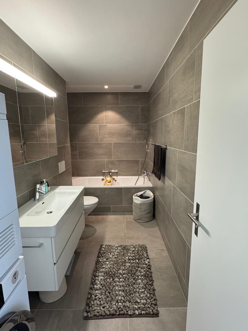 Grosszügige 3.5-Zimmer-Attikawohnung mit zwei Terrassen (7)