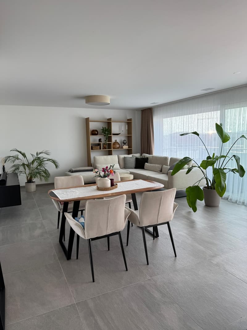 Grosszügige 3.5-Zimmer-Attikawohnung mit zwei Terrassen (2)