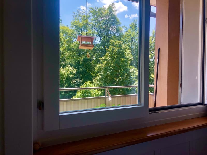 Schöne 4½-Zimmer-Wohnung Nahe Stadelhofen und See, Balkon zum Wald (9)