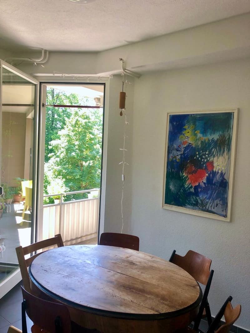 Schöne 4½-Zimmer-Wohnung Nahe Stadelhofen und See, Balkon zum Wald (3)
