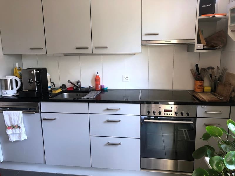 Schöne 4½-Zimmer-Wohnung Nahe Stadelhofen und See, Balkon zum Wald (6)
