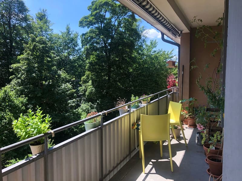 Schöne 4½-Zimmer-Wohnung Nahe Stadelhofen und See, Balkon zum Wald (2)