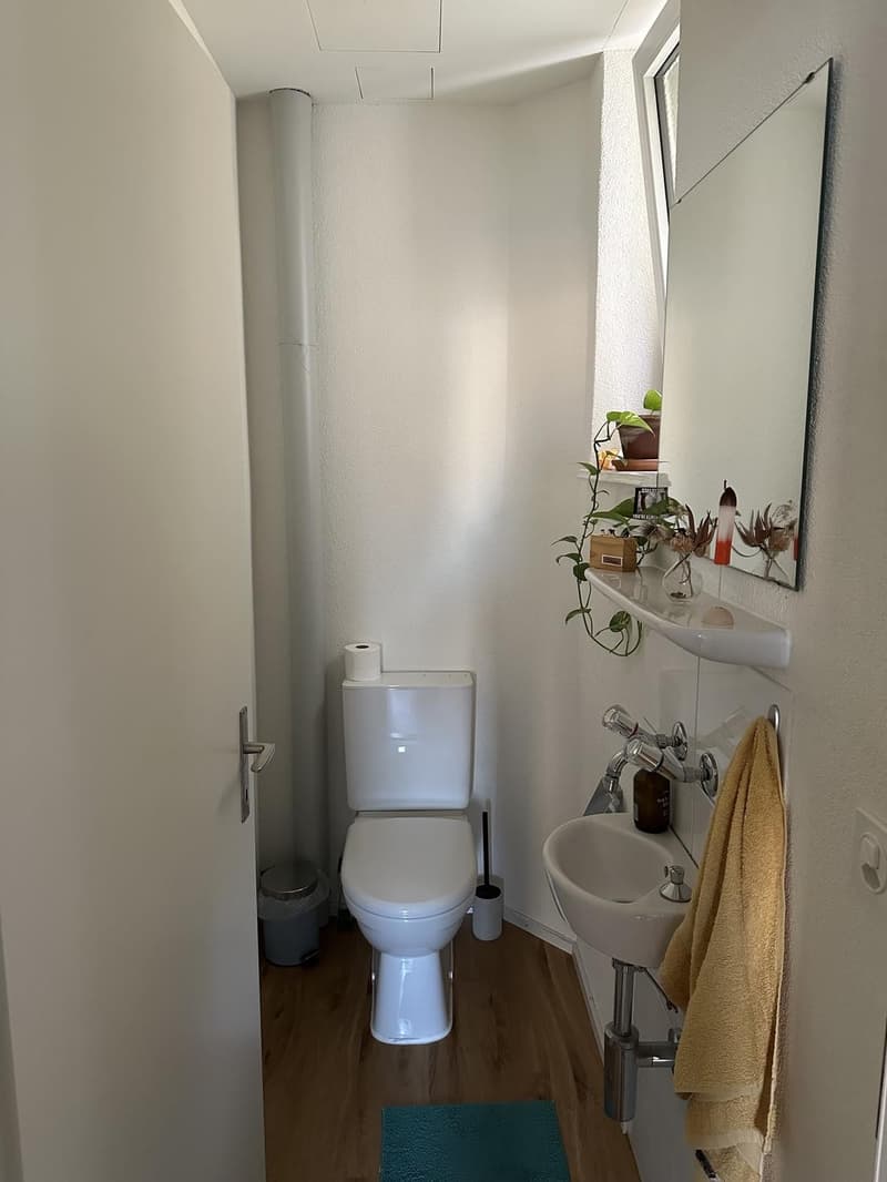 Room for sublet in Wiedikon 3 weeks, Oct. 28, 2026 Nov. 18, 2026 | 750 CHF (3)