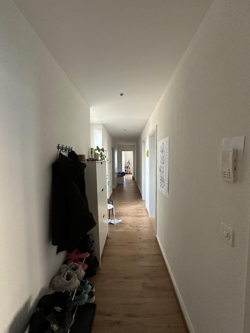 Room for sublet in Wiedikon 3 weeks, Oct. 28, 2026 Nov. 18, 2026 | 750 CHF (4)