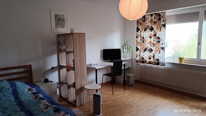 Room close to ETH Hönggerberg (1)