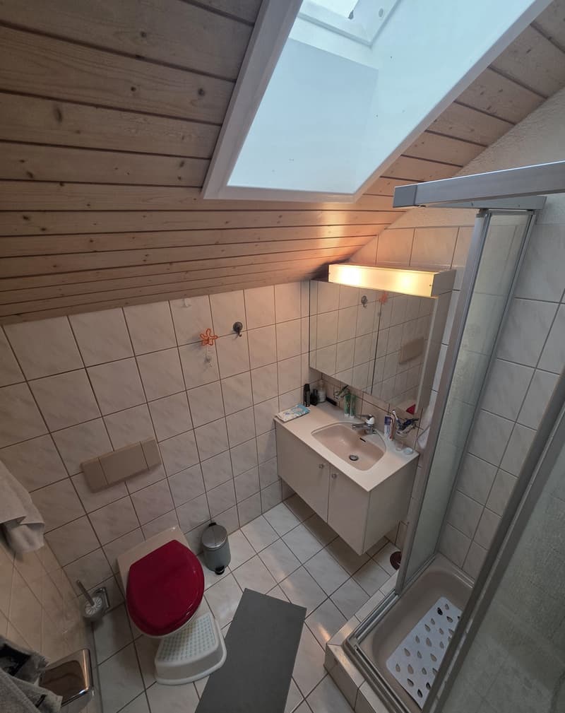 4.5-Zimmer-Wohnung in Winterthur Seen (7)