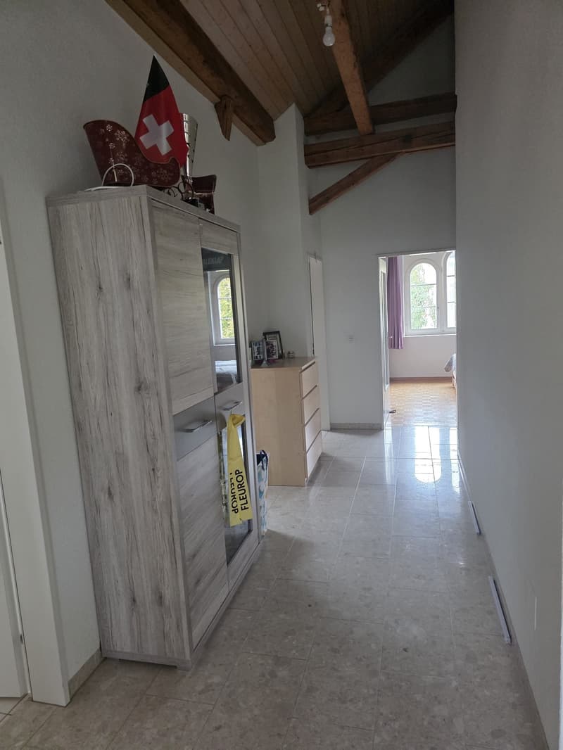 4.5-Zimmer-Wohnung in Winterthur Seen (8)
