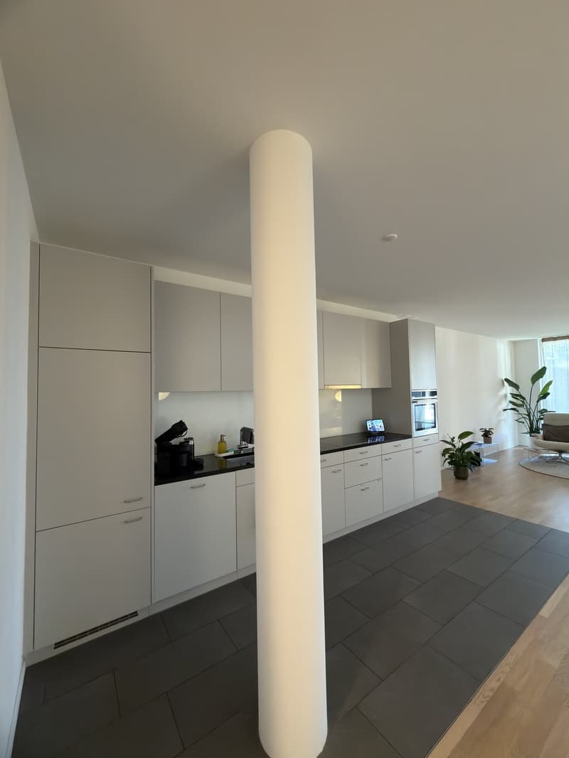2.5 Zimmer Wohnung (3)