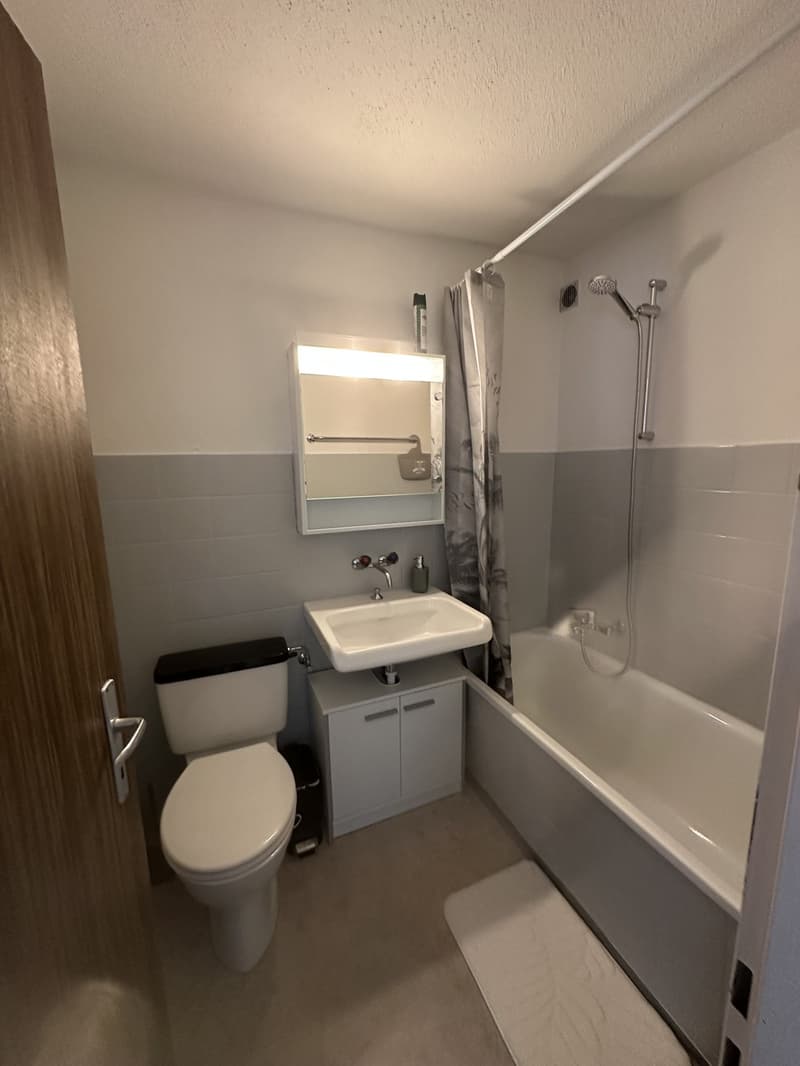 Charmante 2-Zimmer-Wohnung mit Sitzplatz (4)