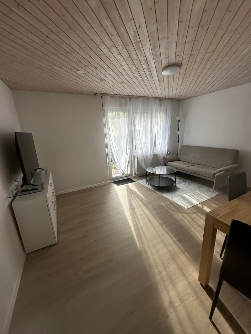 Charmante 2-Zimmer-Wohnung mit Sitzplatz (1)