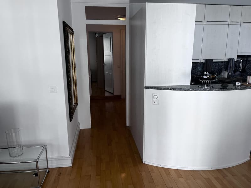 Helle, möblierte 3.5-Zimmer-Wohnung (92 m²) in Enge 5 Min. zu Bahnhof & See (8)