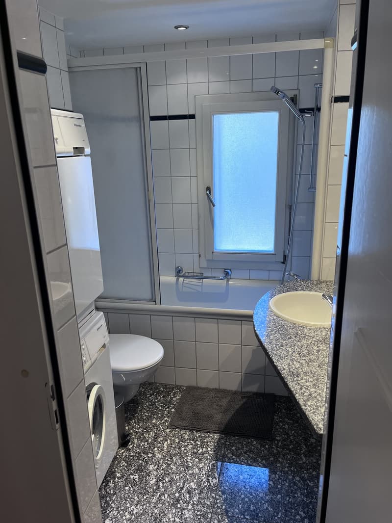 Helle, möblierte 3.5-Zimmer-Wohnung (92 m²) in Enge 5 Min. zu Bahnhof & See (13)