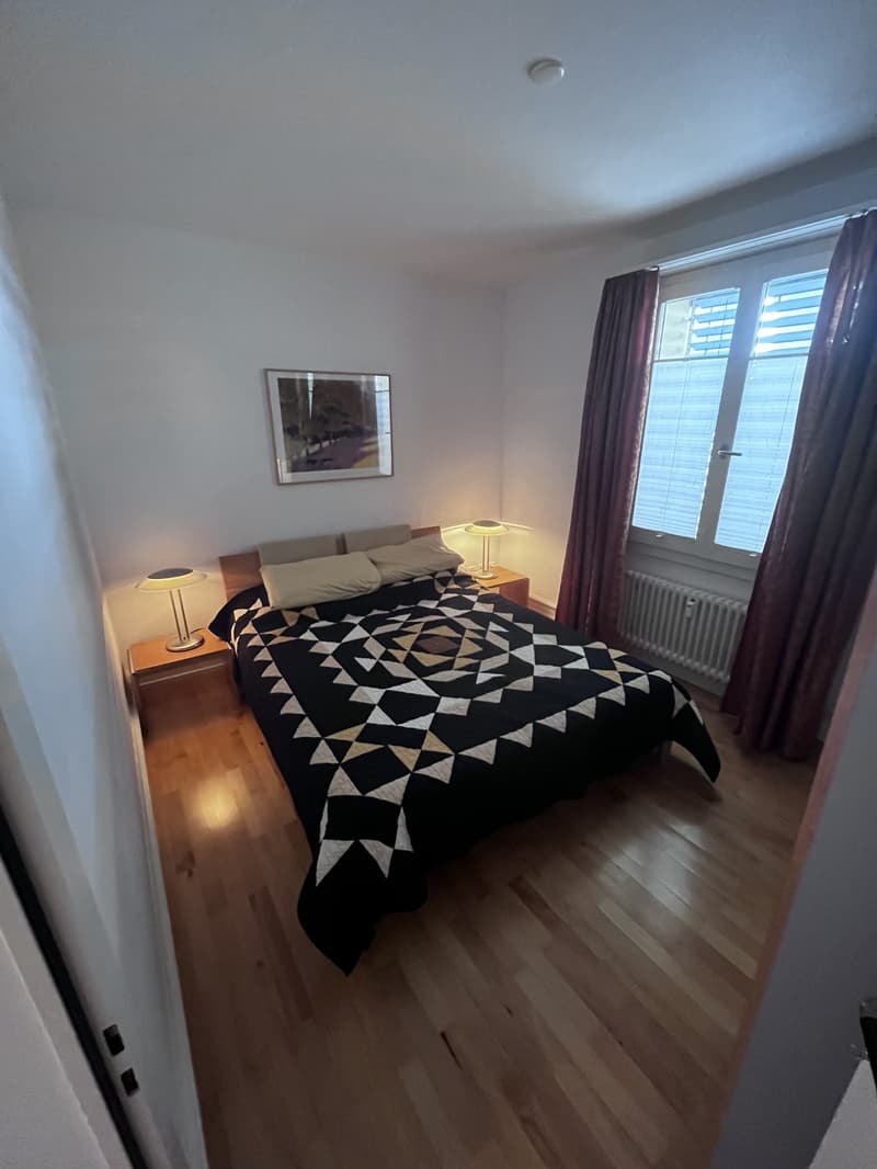 Helle, möblierte 3.5-Zimmer-Wohnung (92 m²) in Enge 5 Min. zu Bahnhof & See (9)