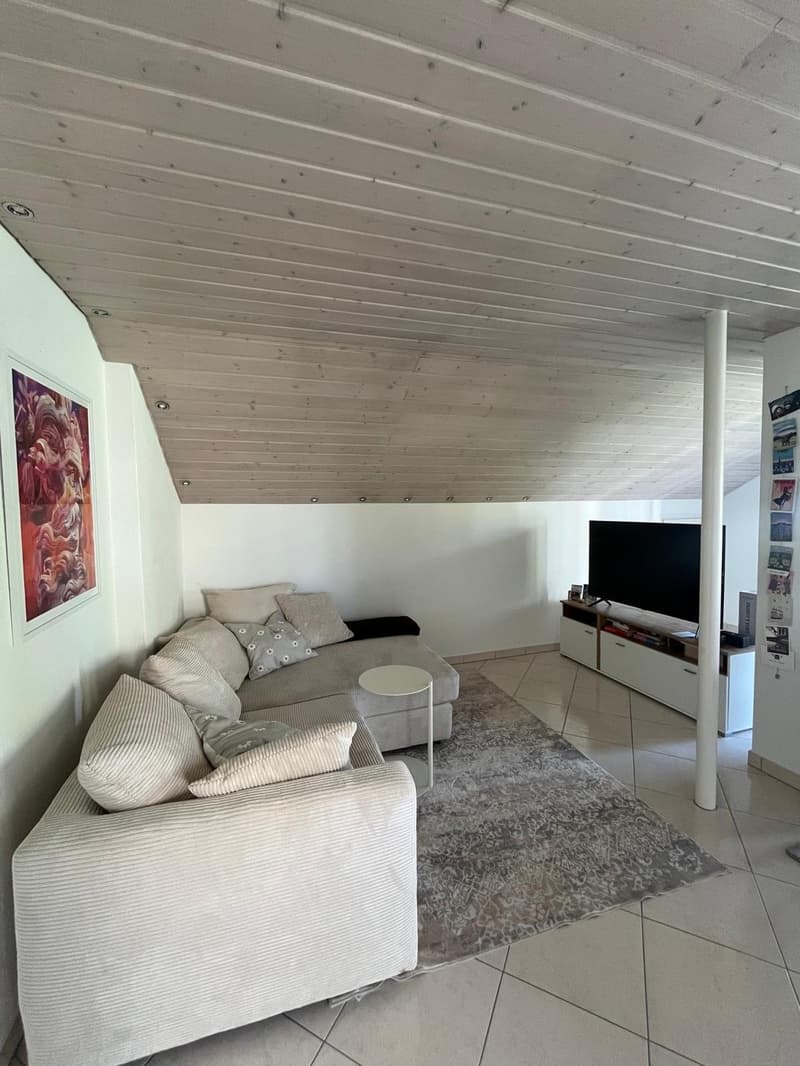 Helle 3.5-Zimmer-Wohnung in ruhiger Lage, Zollikerberg (1)