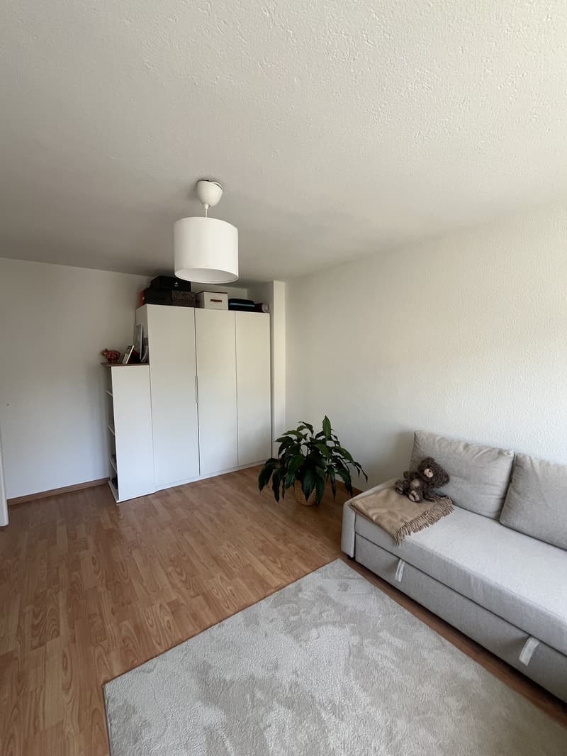 Helle 3.5-Zimmer-Wohnung in ruhiger Lage, Zollikerberg (8)