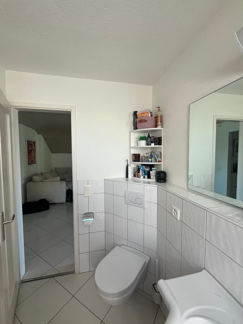 Helle 3.5-Zimmer-Wohnung in ruhiger Lage, Zollikerberg (10)