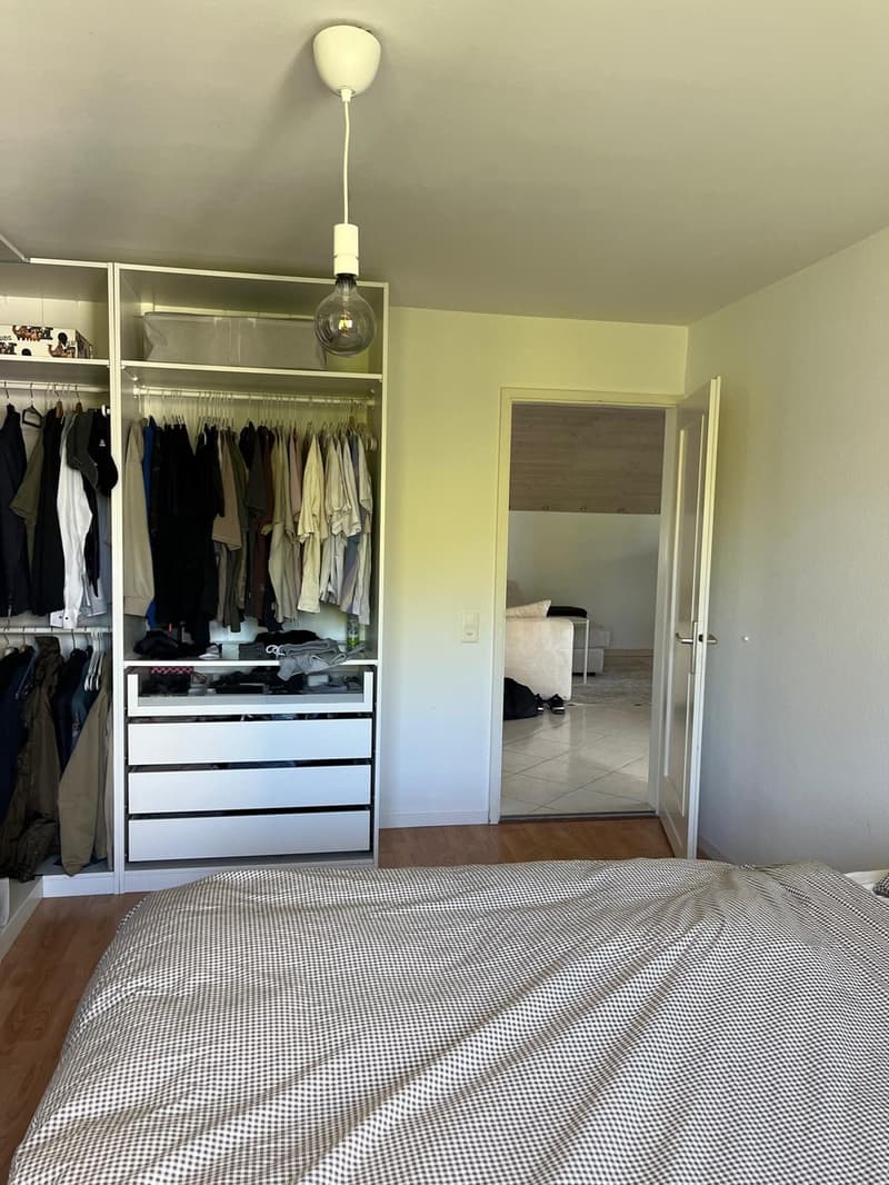 Helle 3.5-Zimmer-Wohnung in ruhiger Lage, Zollikerberg (4)