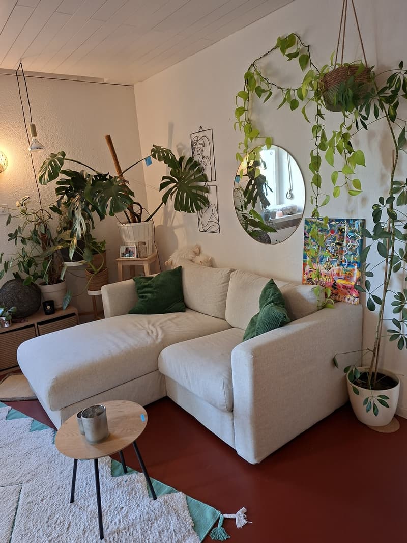 Cozy 1.5 rooms apartement (2)