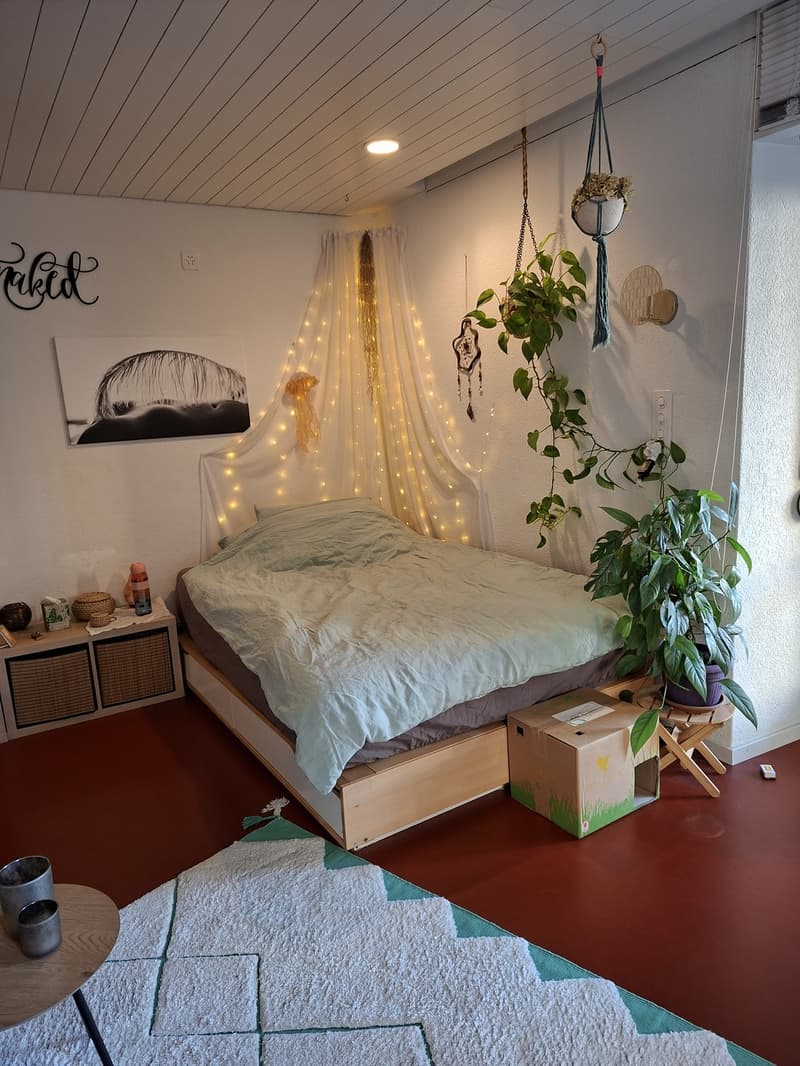 Cozy 1.5 rooms apartement (3)