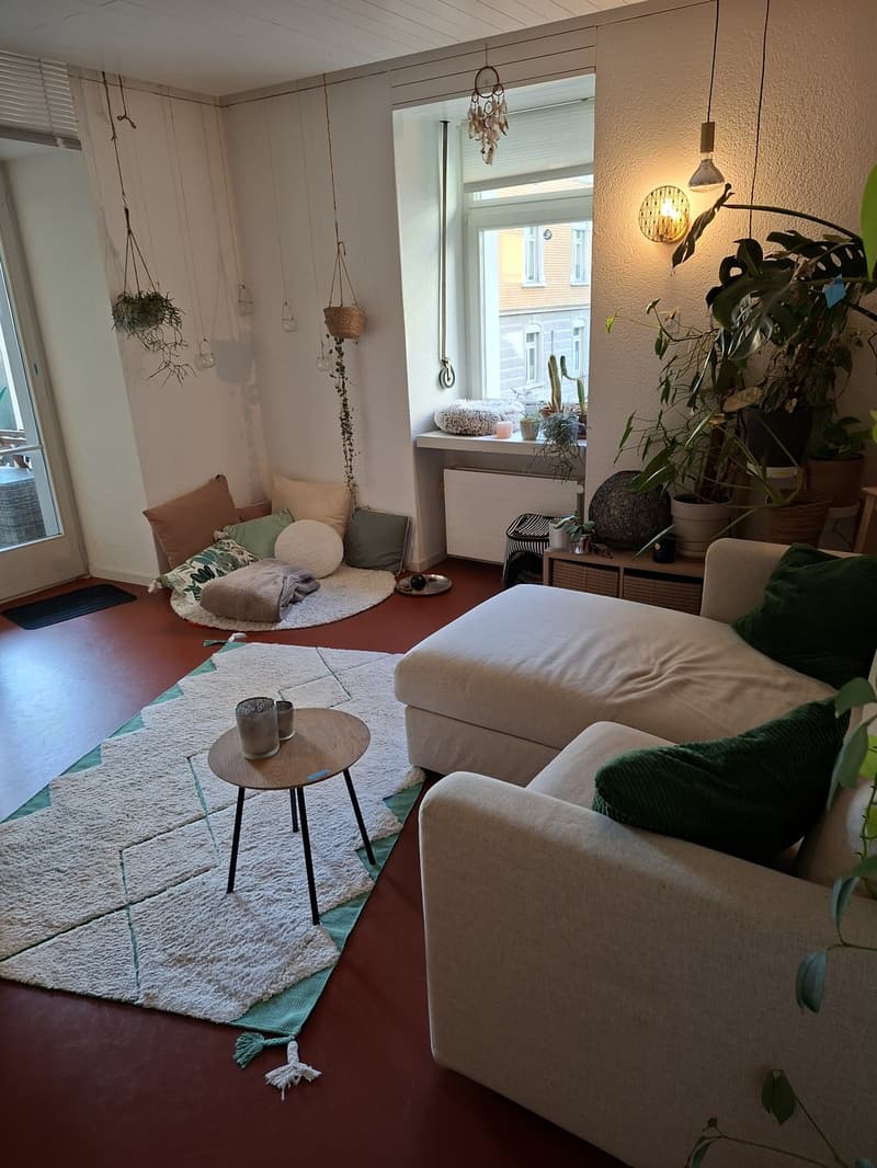 Cozy 1.5 rooms apartement (4)