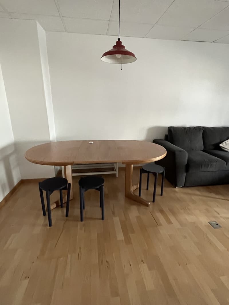 Room available in shared apartment in central Luzern (5)