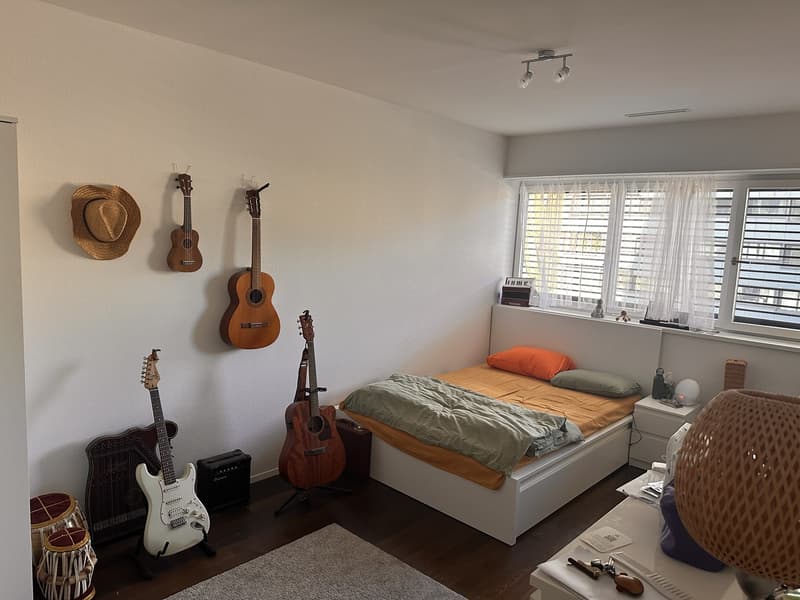 Furnished room in spacious shared apartment in Baden, available December and January (3)
