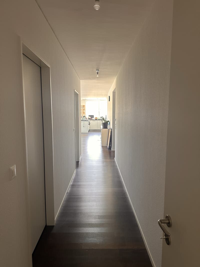 Furnished room in spacious shared apartment in Baden, available December and January (2)