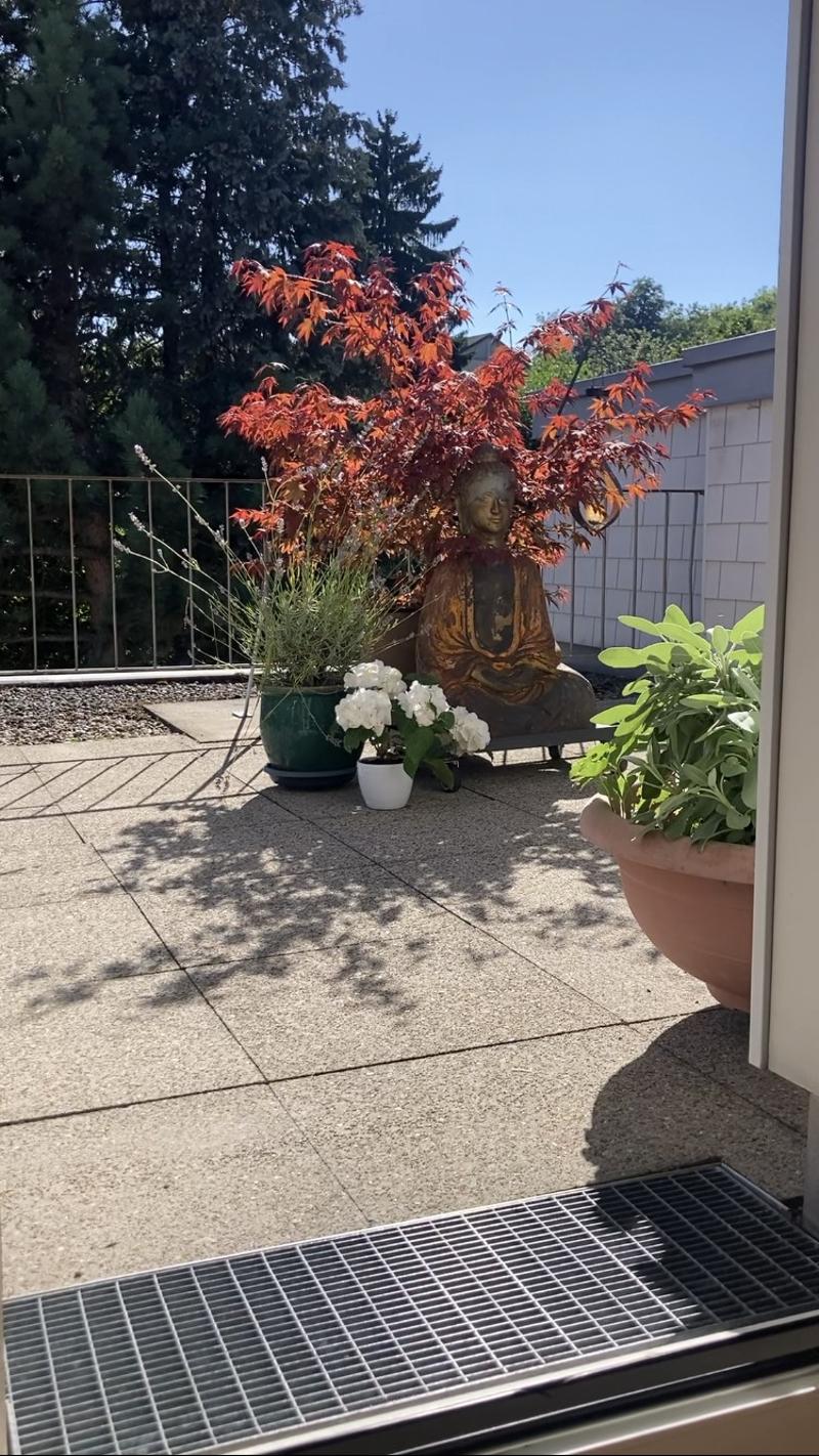Charmante1.5-Zimmer-Wohnung mit grosser Terrasse ruhig & hochwertig St. Fiden, St. Gallen (9)