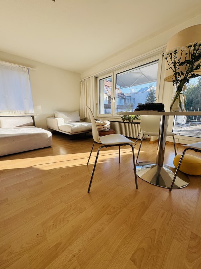 Charmante1.5-Zimmer-Wohnung mit grosser Terrasse ruhig & hochwertig St. Fiden, St. Gallen (1)