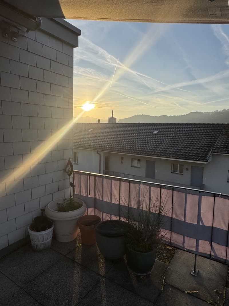 Charmante1.5-Zimmer-Wohnung mit grosser Terrasse ruhig & hochwertig St. Fiden, St. Gallen (11)