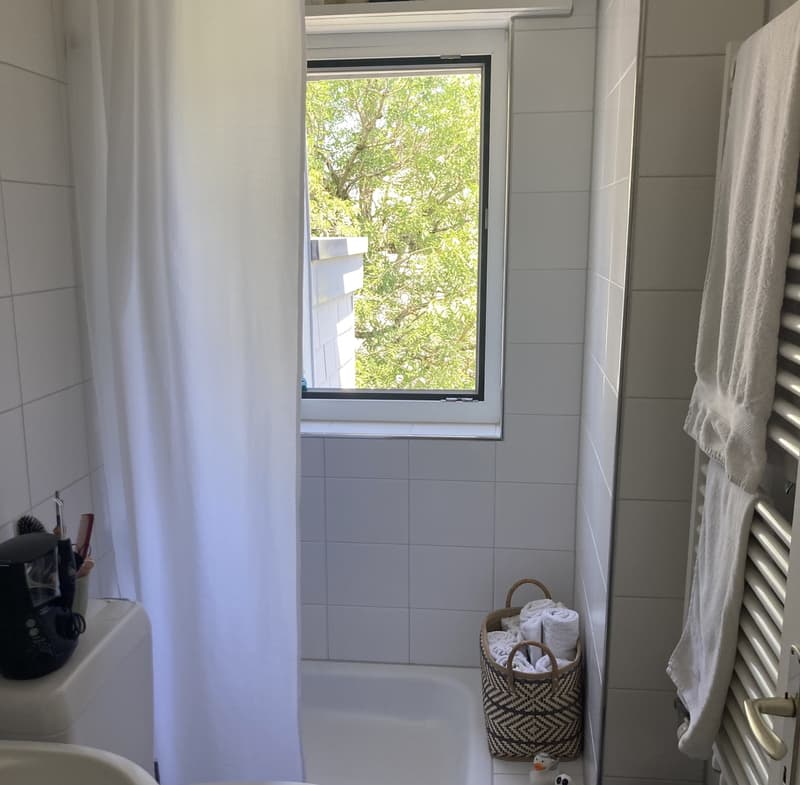 Charmante1.5-Zimmer-Wohnung mit grosser Terrasse ruhig & hochwertig St. Fiden, St. Gallen (5)