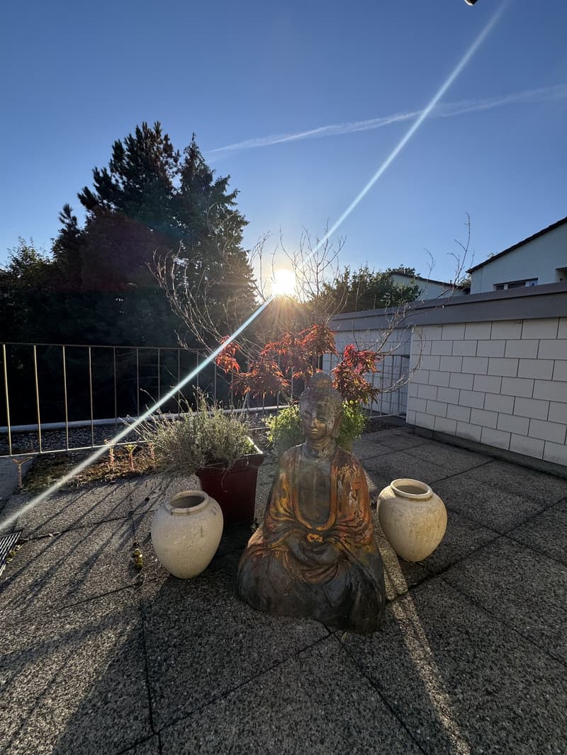 Charmante1.5-Zimmer-Wohnung mit grosser Terrasse ruhig & hochwertig St. Fiden, St. Gallen (3)