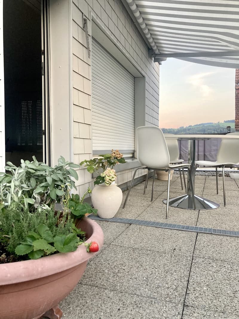 Charmante1.5-Zimmer-Wohnung mit grosser Terrasse ruhig & hochwertig St. Fiden, St. Gallen (6)
