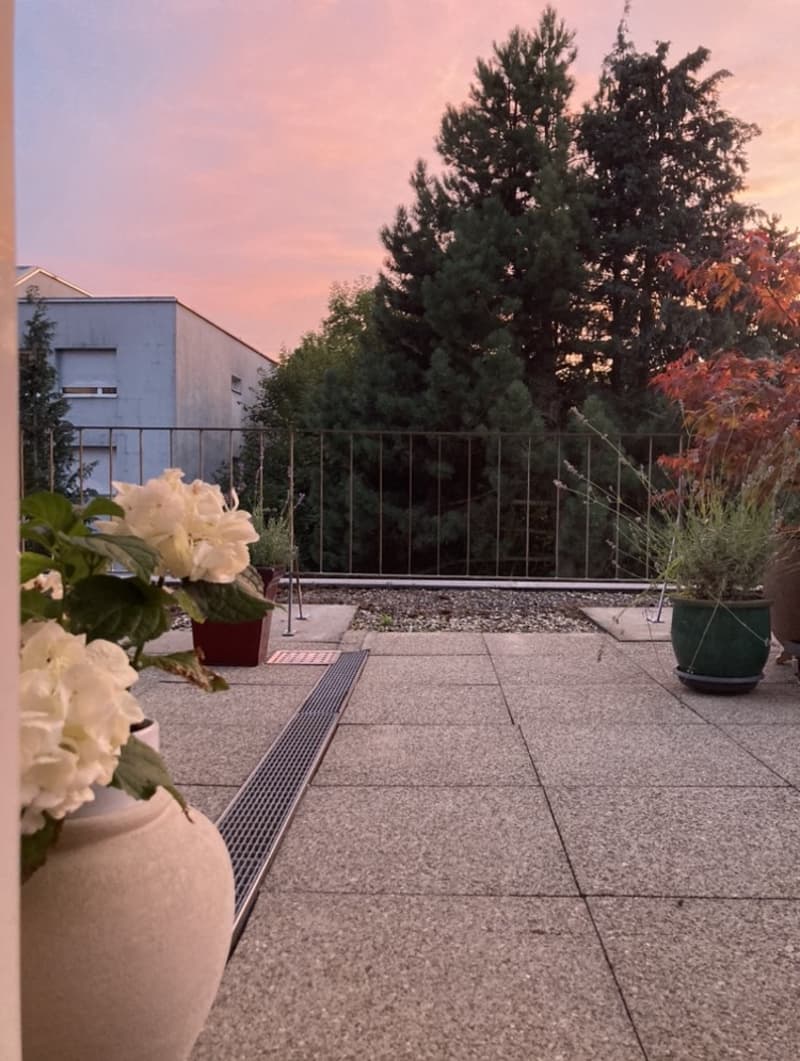 Charmante1.5-Zimmer-Wohnung mit grosser Terrasse ruhig & hochwertig St. Fiden, St. Gallen (2)
