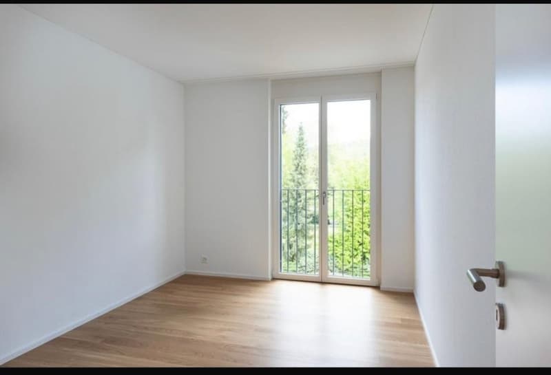 Wunderschönes WG Zimmer direkt an der Reuss (3)