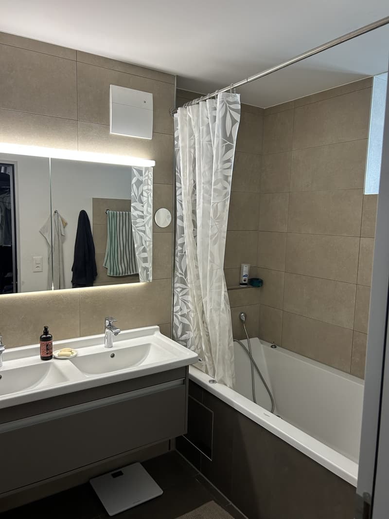 Zimmer in grosszügiger Maisonetten WG - nahe Zürich HB (7)