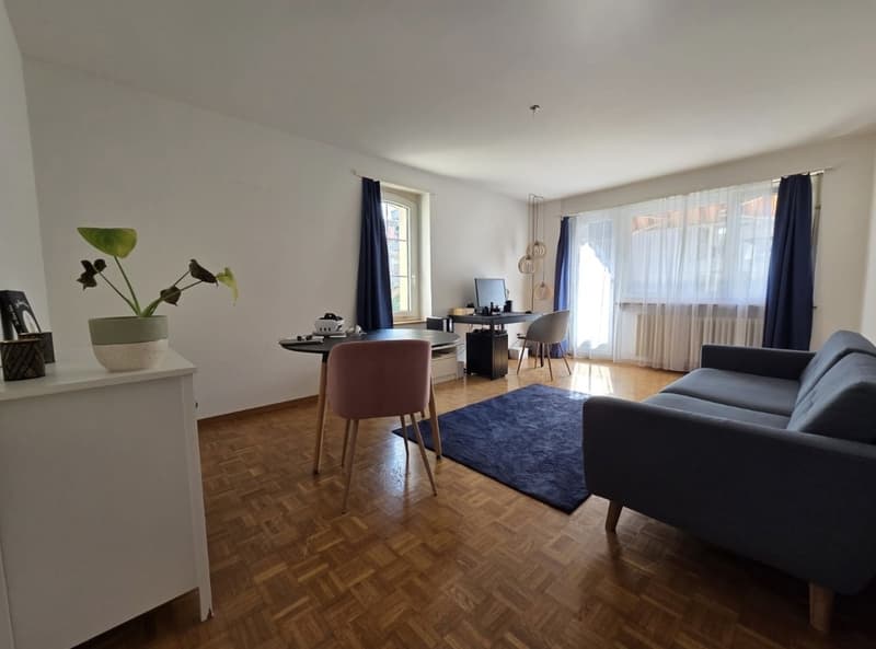 Temporary 2,5 room apartment: November (1 MONTH) (2)
