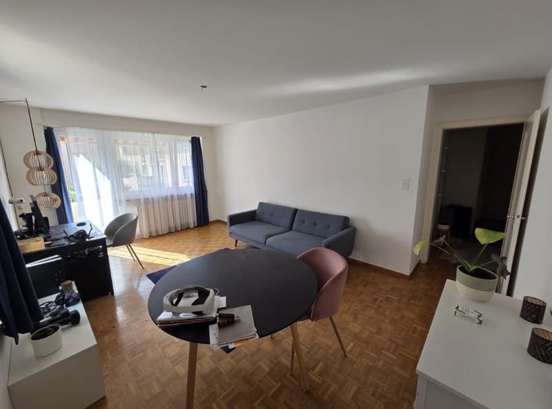 Temporary 2,5 room apartment: November (1 MONTH) (1)