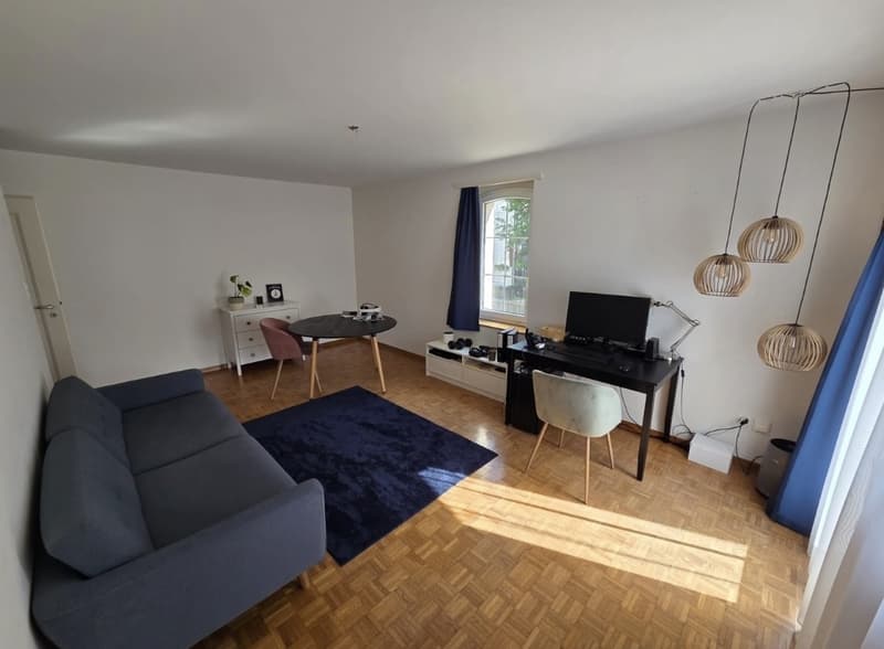 Temporary 2,5 room apartment: November (1 MONTH) (3)