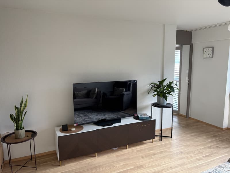 Freshly Renovated & Fully Furnished 4.5-Room Apartment with Lake View Wädenswil (ZH 8820) (3)