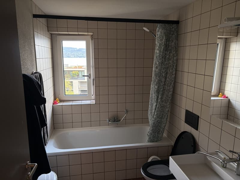 Freshly Renovated & Fully Furnished 4.5-Room Apartment with Lake View Wädenswil (ZH 8820) (12)