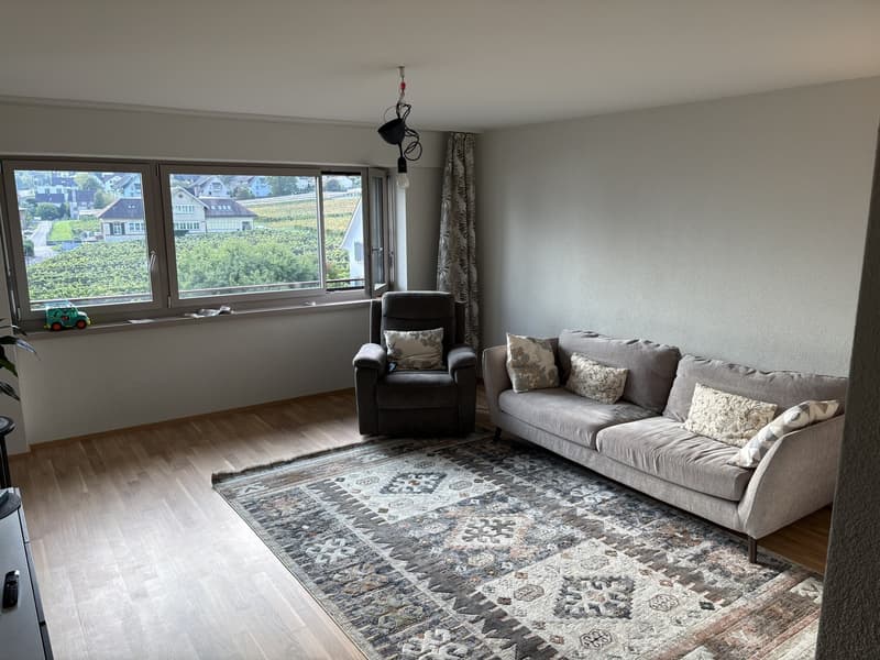 Freshly Renovated & Fully Furnished 4.5-Room Apartment with Lake View Wädenswil (ZH 8820) (1)