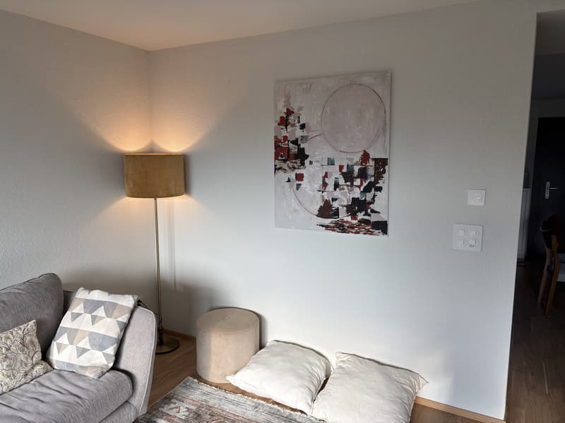 Freshly Renovated & Fully Furnished 4.5-Room Apartment with Lake View Wädenswil (ZH 8820) (4)