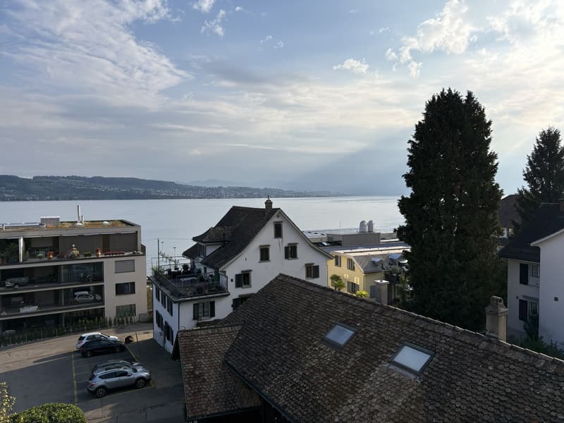 Freshly Renovated & Fully Furnished 4.5-Room Apartment with Lake View Wädenswil (ZH 8820) (7)