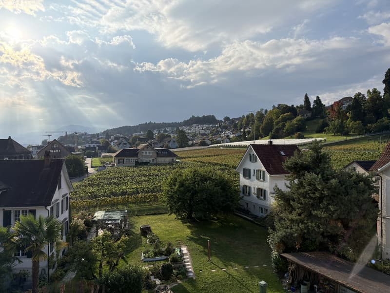 Freshly Renovated & Fully Furnished 4.5-Room Apartment with Lake View Wädenswil (ZH 8820) (2)
