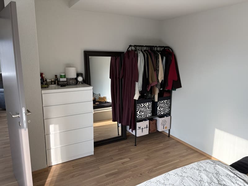 Freshly Renovated & Fully Furnished 4.5-Room Apartment with Lake View Wädenswil (ZH 8820) (8)