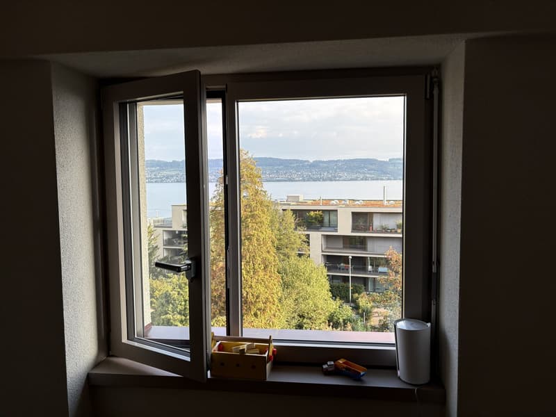 Freshly Renovated & Fully Furnished 4.5-Room Apartment with Lake View Wädenswil (ZH 8820) (11)