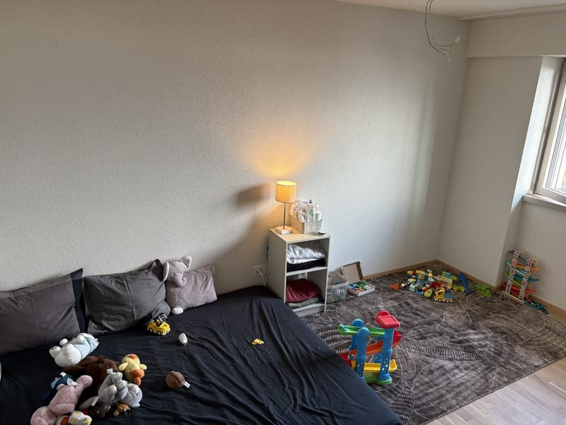 Freshly Renovated & Fully Furnished 4.5-Room Apartment with Lake View Wädenswil (ZH 8820) (10)