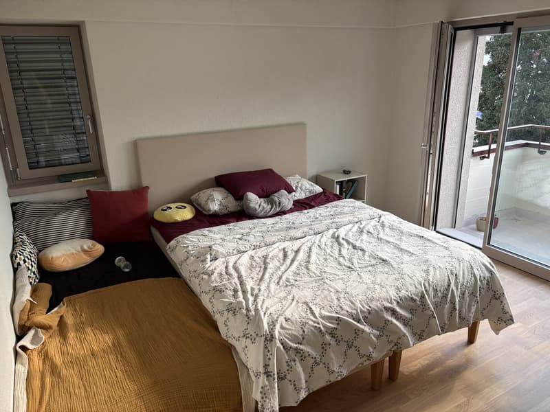 Freshly Renovated & Fully Furnished 4.5-Room Apartment with Lake View Wädenswil (ZH 8820) (6)